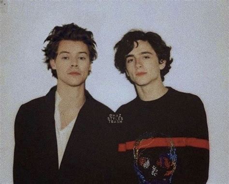 harry styles and timothée chalamet