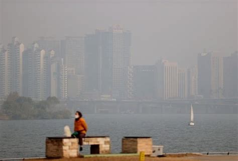 오늘 날씨 오전 짙은 안개수도권 미세먼지 나쁨 네이트 뉴스