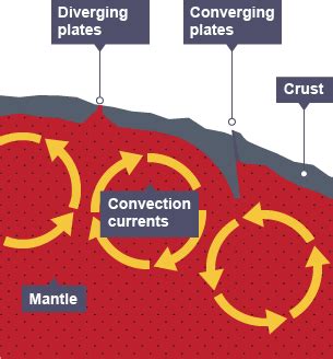 Convection Currents Diagram Quizlet