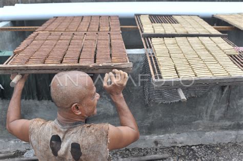 PRODUKSI OLAHAN GAMBIR DI MUSI BANYUASIN ANTARA Foto