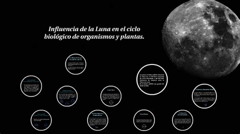 Influencia de la Luna en el ciclo biológico de organismos y by Giovani