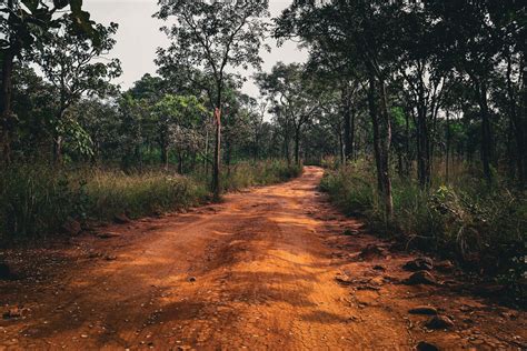 Download Best Nature Background Muddy Path | Wallpapers.com