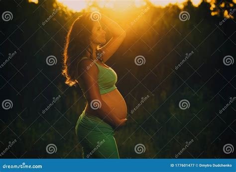 Adult Pregnant Woman On Against The Backdrop Of The Sunset In The Park