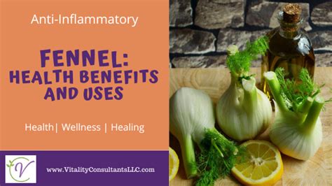 Fennel Health Benefits And Uses Vitality Consultants