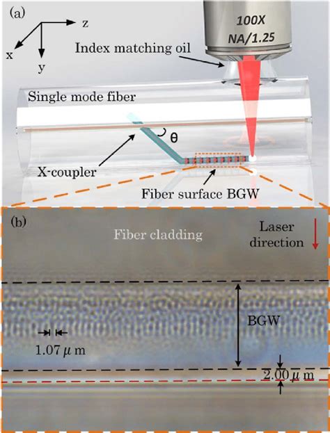 A Femtosecond Laser Inscription Of A Fiber Surface Bgw Sensor Device