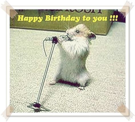 Happy Birthday Meme For Friends With Funny Poems - HubPages