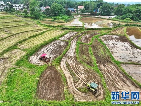 江西：初夏人勤农事忙（图）凤凰网江西凤凰网