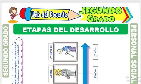 Etapas Del Desarrollo Humano Para Segundo Grado De Primaria