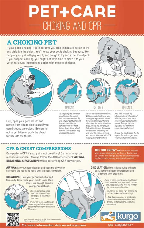 Free printable pet cpr and emergency dog pet medical posters how to do cpr on a dog – Artofit