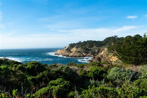 Point Lobos State Natural Reserve — ricardodeltoro.me