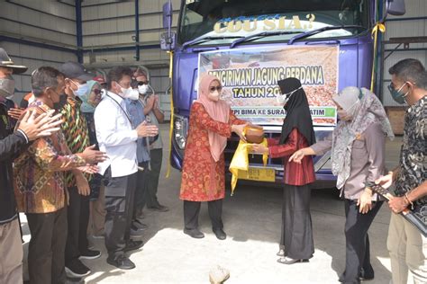 Stabilisasi Harga Jagung Kementan Dan Pemda Bima Kirim Jagung Ke