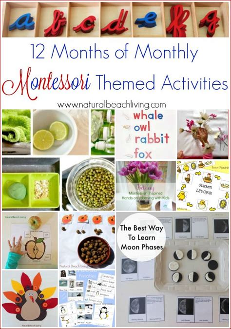 12 Months Of Monthly Montessori Themed Activities Montessori Montessori Homeschool