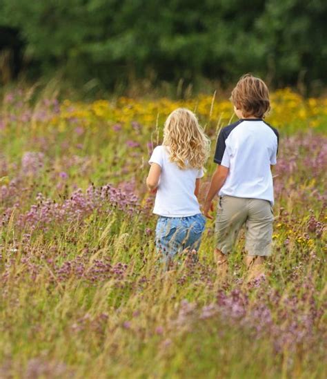 Regs Wildflower Meadow Is A Successful Conservation Area In Hampshire