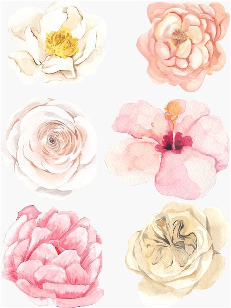 "Pastel Watercolor Flowers" Sticker for Sale by AsinusAS | Redbubble