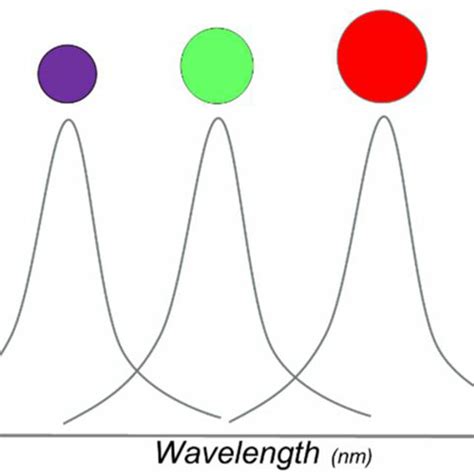 The Quantum Confinement Allows Adjusting The Emission Wavelength By