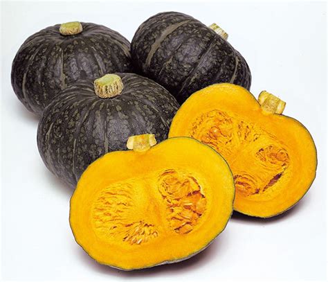 10 Hokkori Hybrid Japanese Kabocha Winter Squash Seeds 栗南瓜 Etsy