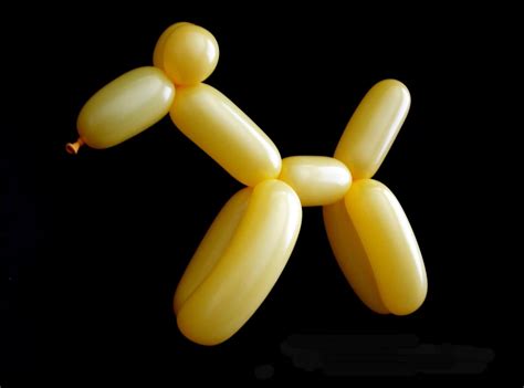 How to Make a Dog Balloon Animal