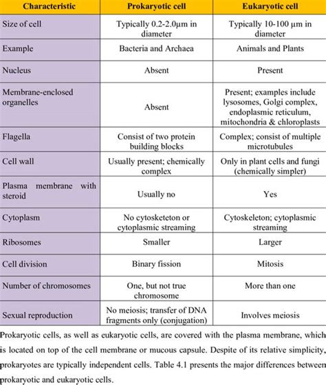 Prokaryotic And Eukaryotic Difference Trinityecblankenship