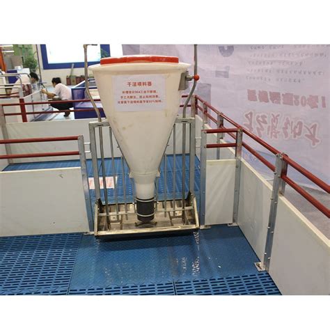 Pig Double Dry Wet Feeder Pig Farming Equipment Cleaning Hole Automatic