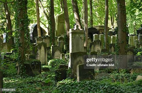 1,324 Friedhof Berlin Photos & High Res Pictures - Getty Images