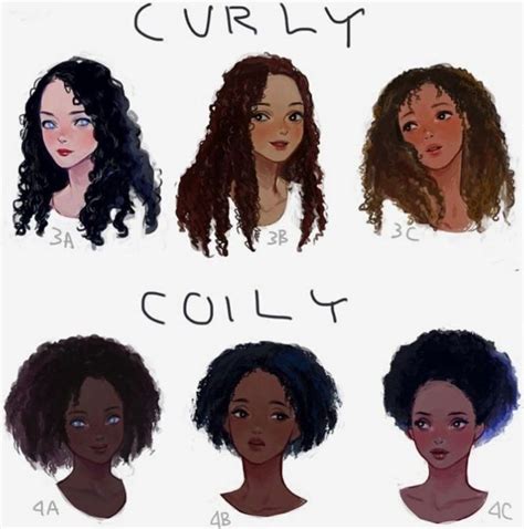 Drawing Curly And Coily Hair How To Draw Hair Hair Art Hair Reference