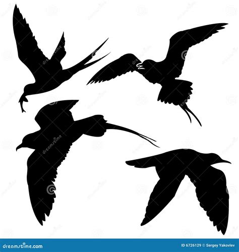 Silhouette Of The Sea Birds Stock Vector Image 6726129