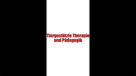 Tiergest Tzte Therapie P Dagogik Youtube