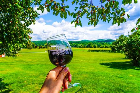 Vermont Wineries: Boyden Valley has Ice Wine Tasting and Cheese!