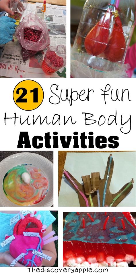 21 Super Fun Human Body Activities You Will Find Plenty Of Resources