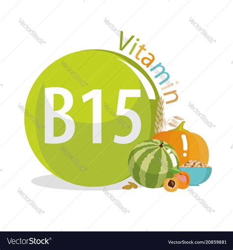 Vitamin B15 Pangamic Acid Royalty Free Vector Image