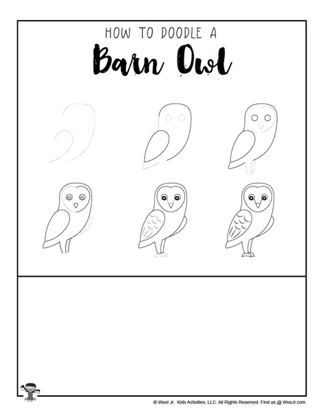 Spectacular Ideas Of How To Draw A Barn Owl Step By Step Photos Lantarexa