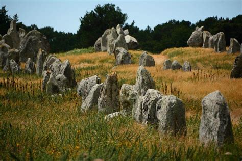 Plongez Dans L Histoire Avec Vos Proches Une Visite Passionnante Des