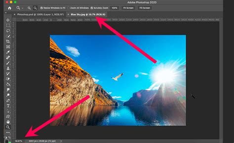 How To Zoom In On Photoshop What To Do When It Doesnt Zoom