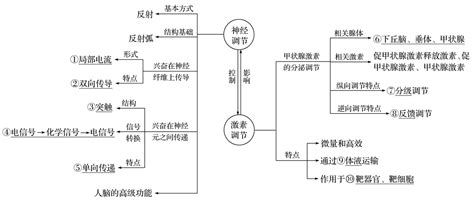 2018年高考生物二轮复习核心考点之提分冲刺专题10人和动物生命活动的调节word文档在线阅读与下载无忧文档