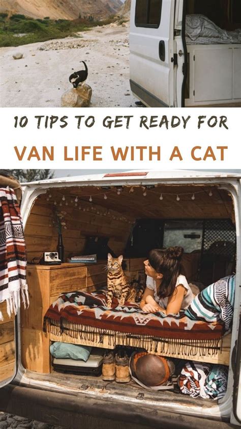 10 Tips & Tricks To Get Ready For Van Life With A Cat | Fun Life Crisis ...