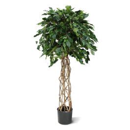 Ficus Exotica Artificiel 150 Cm Vert Boule Sur Tige Maxifleur Plantes