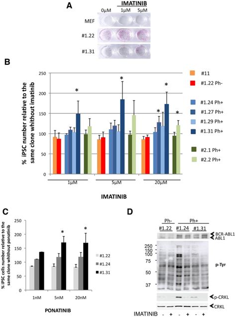 A Dose Effect Of Imatinib Exposure 05 µm For 6 Days On Cml Ipsc Download Scientific