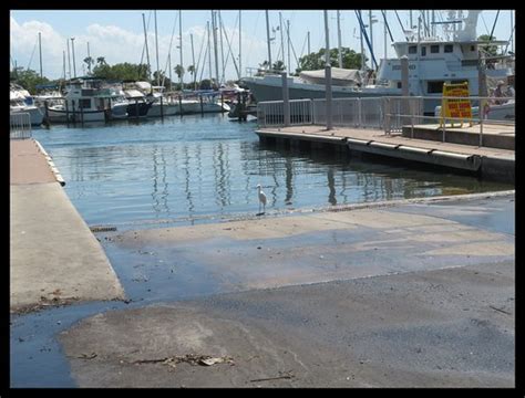 Gulfport Municipal Marina 2020 All You Need To Know Before You Go