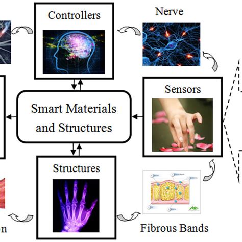 Smart Materials And Structures Download Scientific Diagram