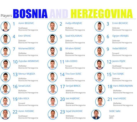 Bosnia And Herzegovina Players World Cup 2014 Fifa World Cup World Cup