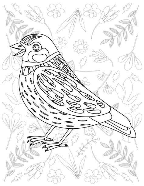 Premium Vector Bird Coloring Page Bird Vector Bird White And Black