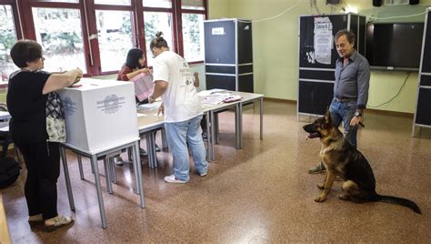 Elezioni Europee E Regionali Posso Andare A Votare Con Il Mio Cane