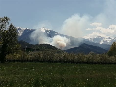 Incendio Boschivo A Roccaforte Anche L Elicottero Regionale In Azione