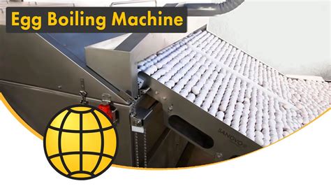 Egg Processing Machine For Hard Boiled Eggs Large Scale Cooking And