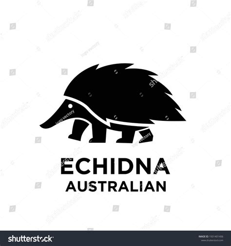 356 Echidna Black White Images, Stock Photos & Vectors | Shutterstock