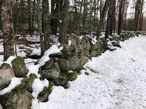 Living On Earth New Englands Stone Walls