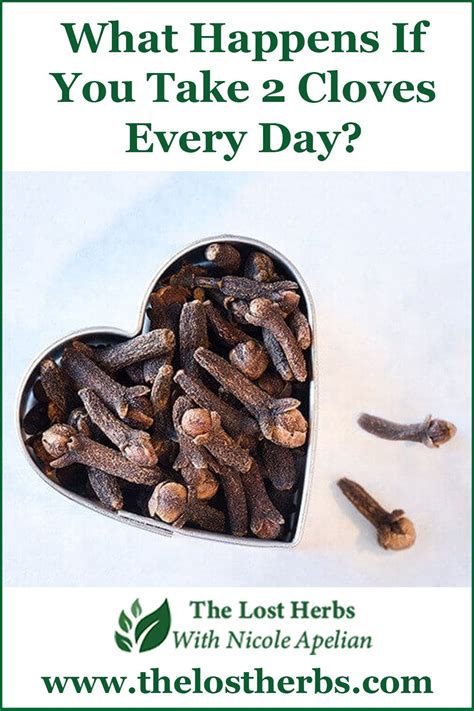 Cloves Health Benefits And Uses Artofit