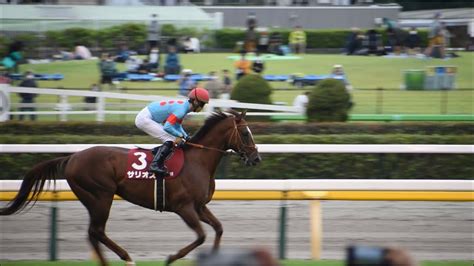 サリオス 本馬場入場 返し馬 2022 毎日王冠【現地映像】 競馬動画まとめ