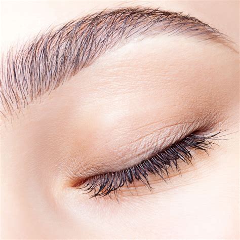 Eyebrow Wax - The SPA | By Australian Academy of Beauty Dermal and