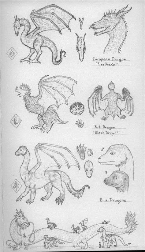 Dragon Types By Bluewingedcoyote On Deviantart